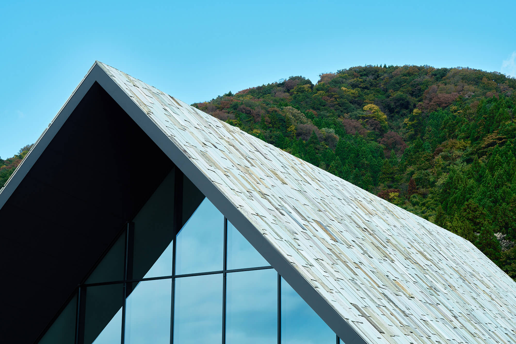 蕎麦 山や - SEWI［ソウイ］